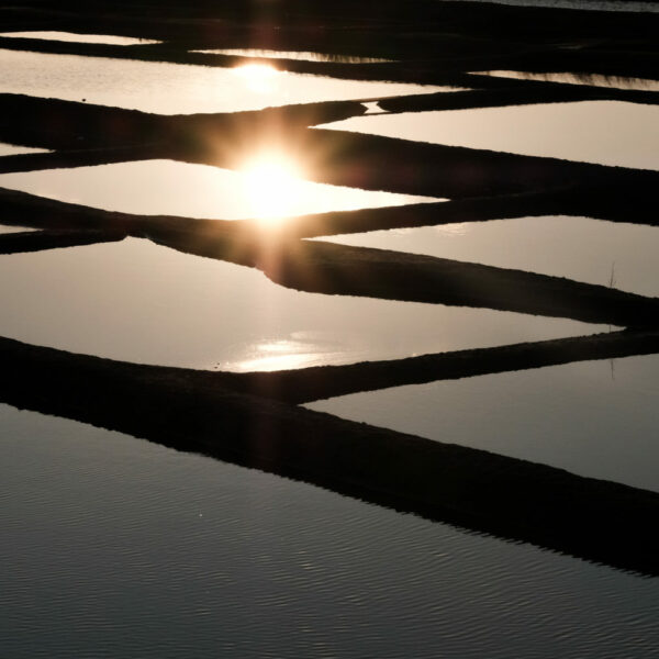 Salines au couchant
