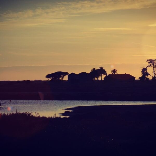 Crépuscule sur l&rsquo;étang