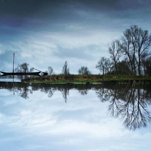 Cher miroir