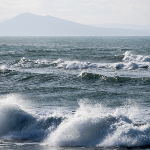Blue wave