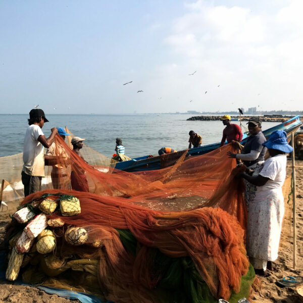 Retour de pêche à Negombo