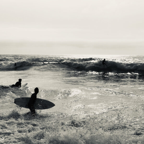 Surf à Contis