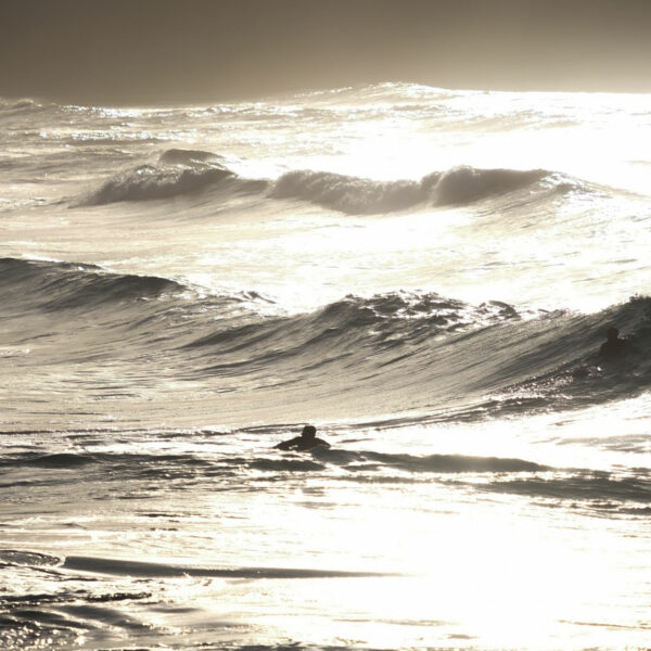Surf dorée