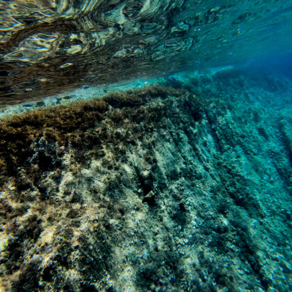 Entre deux eaux
