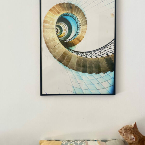 Spirale de mer