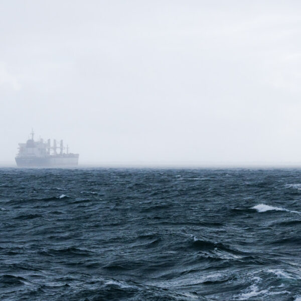 Dans la brume