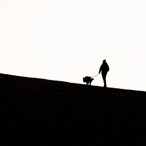 L&rsquo;homme-loup