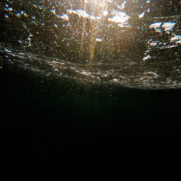 Light spring