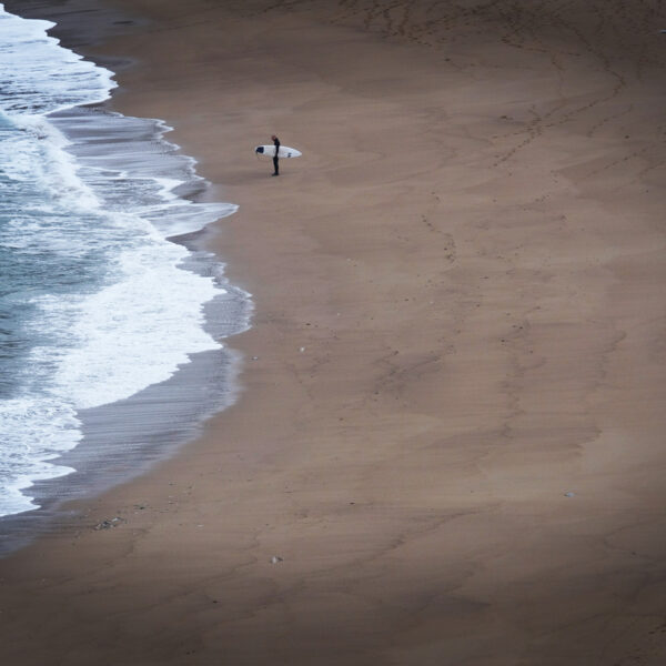 Observer