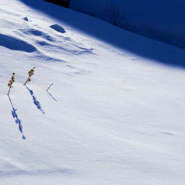 Ombres bleues