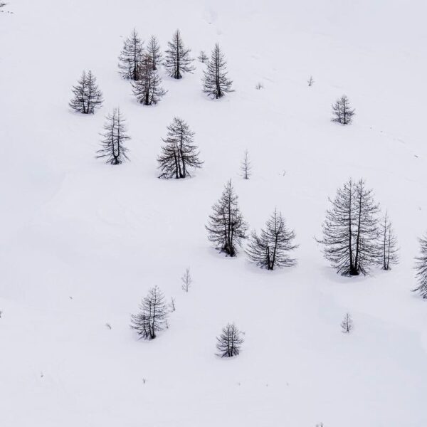 Partition de neige