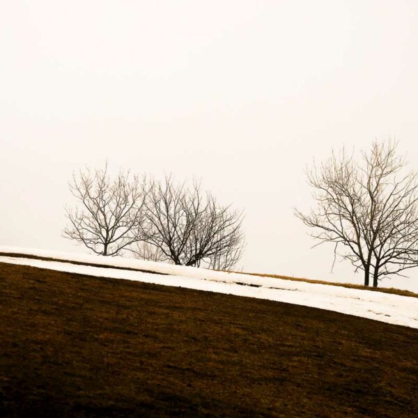 Ligne d&rsquo;hiver